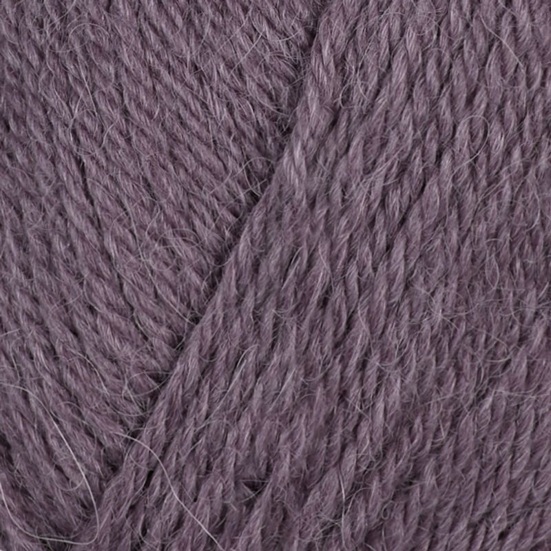 Alpaca Storm